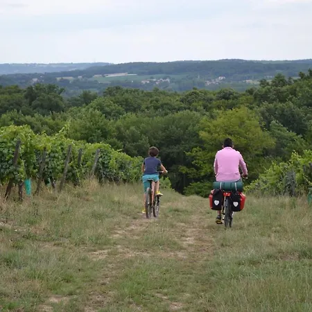 En Bord De Rivière Couette-café Casseneuil