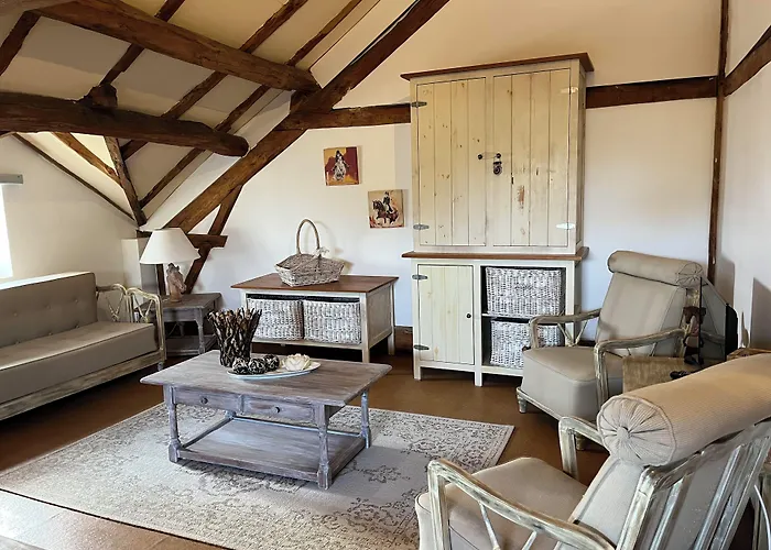 住宿加早餐酒店 En Bord De Riviere Casseneuil