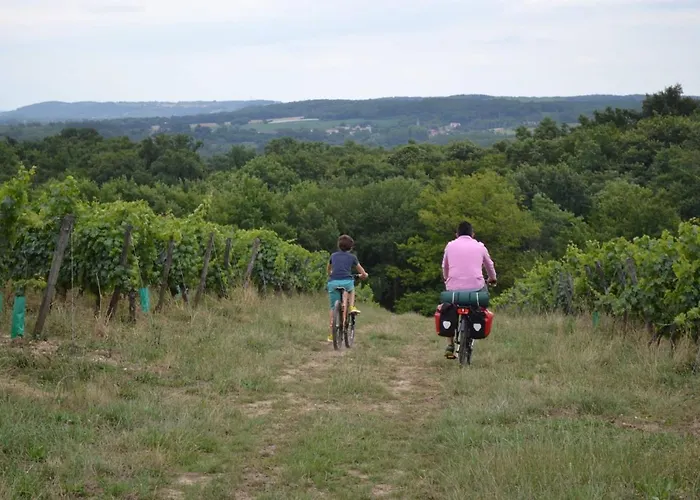 En Bord De Riviere 住宿加早餐酒店 Casseneuil
